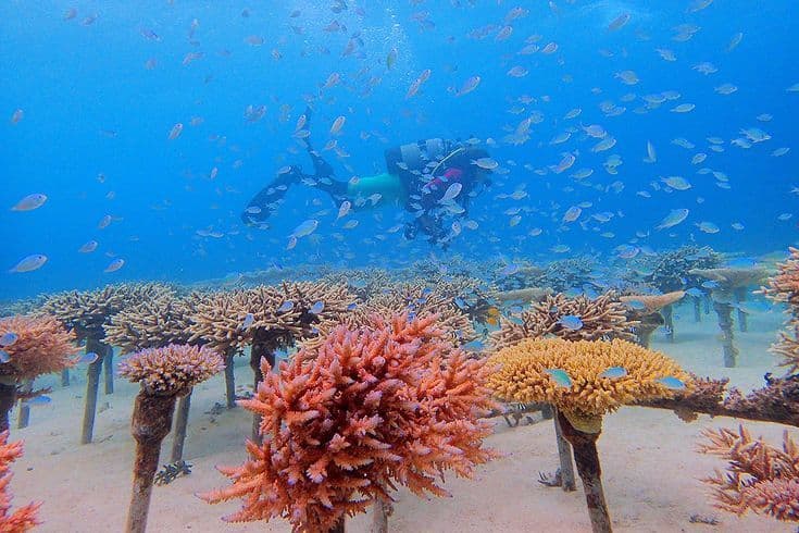 Andaman Bliss - 4N/5D — Tour Package | AdventurePedia
