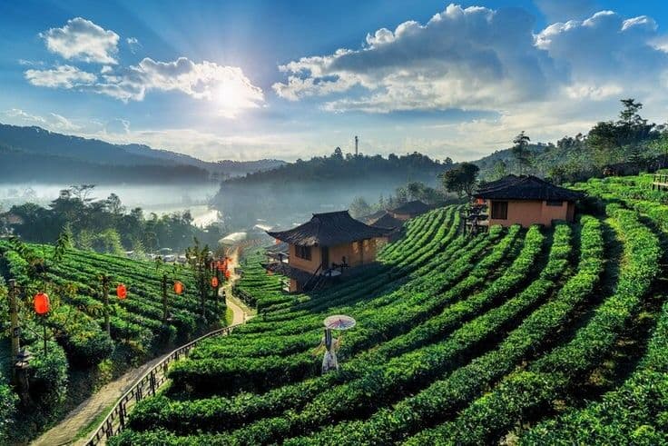 Ooty Kodaikanal Tour Package 4N/5D | Tamil Nadu Hill Station Holiday — Tour Package | AdventurePedia